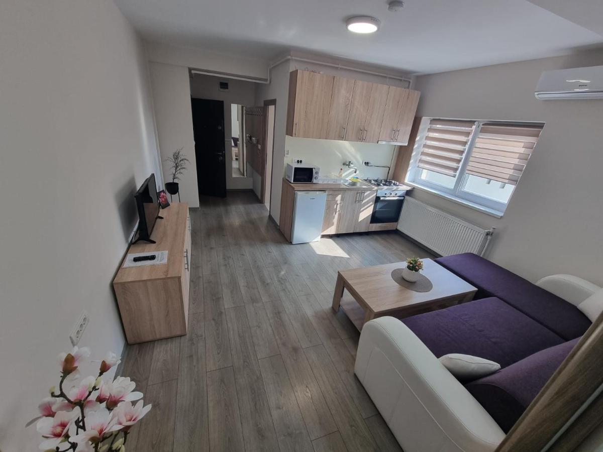 City Premium Apartments Timişoara Exterior foto